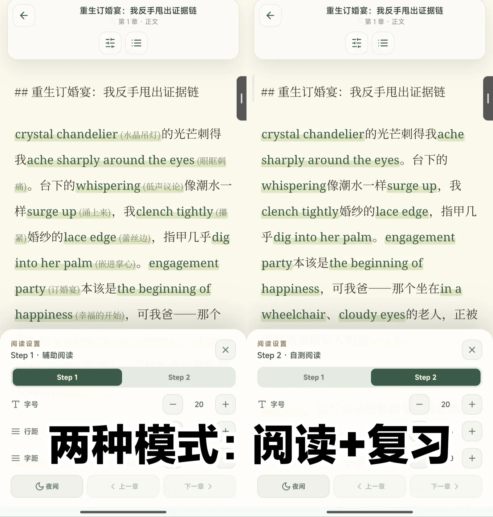文炼 AI 阅读和复习两种模式界面截图