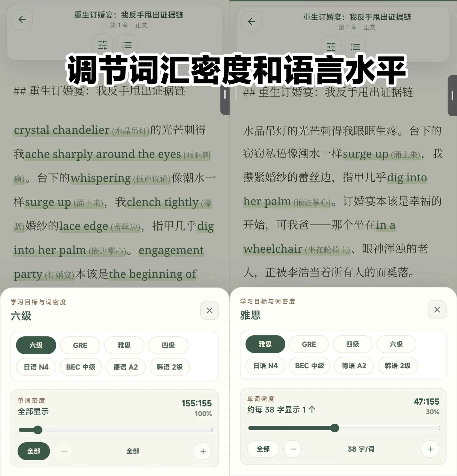 文炼 AI 调节词汇密度和语言水平界面截图